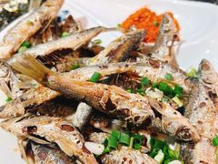香煎小鱼-海韵人家.海景花园经典云南菜(双廊店)