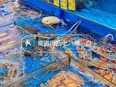 -粤盛海鲜平价店(洛溪食街店)