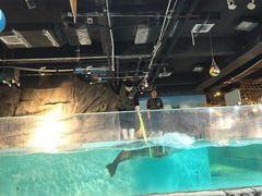 -萌宠奇缘(荣鼎店)