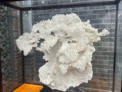 -游龙石文化科普馆
