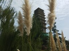黄酒-吕家米皮