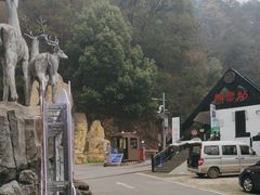 -长沙黑麋峰国家森林公园