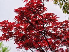 -木渎古镇