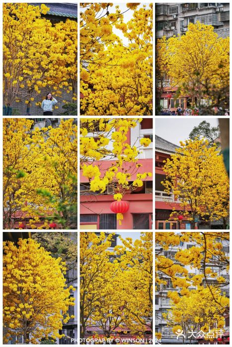光孝寺图片