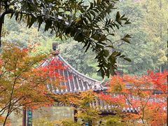 -龙头寺公园