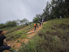 -黄埔油麻山森林公园