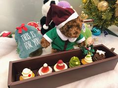 -黑池口感烘焙·生日蛋糕(坂田店)