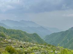 -秦岭终南山世界地质公园翠华山景区
