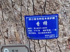 -东梓关景区村庄