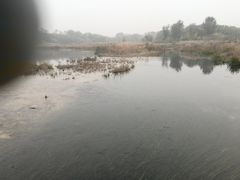 -淇河国家湿地公园