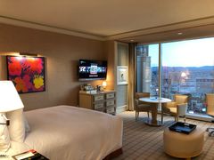 -拉斯维加斯永利酒店