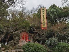 -杭州黄龙洞