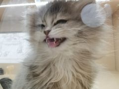 -上海来福士广场
