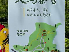 -上海佘山国家森林公园天马山园
