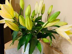 -尚一汤·粤菜海鲜(环球港店)