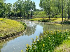 -东郊湿地公园