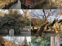 -青岛崂山太清宫