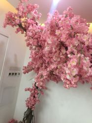 -Sunny喜铺婚礼策划(东部店)