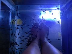 -汤连得温泉馆(宝山店)