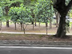 -福建鲤鱼洲酒店