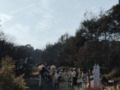 -杭州少年儿童公园