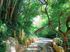 -人民公园(罗湖区)