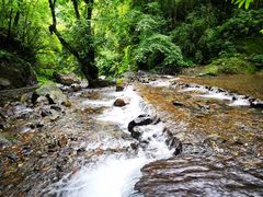 -西岭雪山大飞水景区