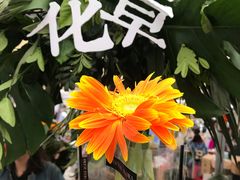 -欧亚汇集(飞跃路店)