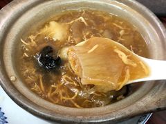 招牌花胶大只翅-添發碗仔翅美食