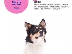 -宝龙广场(福州台江店)