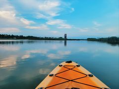 -春花秋色城市公园