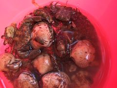 -船梆煮•蒸汽海鲜·生腌干蒸(五四广场店)