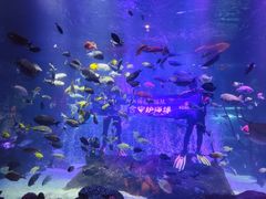 -沈阳海洋探索中心