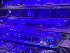-青蓬蒸汽海鲜·深圳老字号·团建聚会(壹方城店)