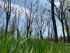 -上海山野camping·户外天幕烧烤·团建拓展营地