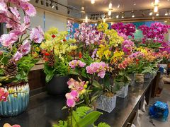 -双季花艺园艺市场(浦东店)