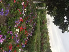 上海鲜花港-上海鲜花港