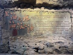 -广富林郊野公园