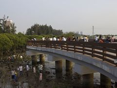 -宝安西湾红树林湿地公园