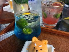 -柴犬高等学院·狗咖·柴犬售卖·宠物训练