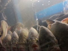 -蟹岛开饭楼