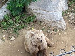 -石家庄市动物园