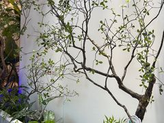 -驻海渔市(置信店)