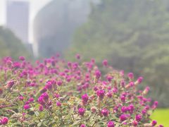 -东怡大酒店(上海科技馆店)