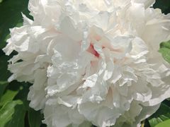 -太阳宫公园