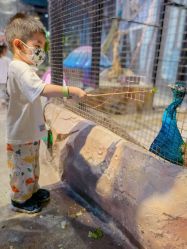 -酷嗒动物文化乐园(cutezoo西溪乐天城店)