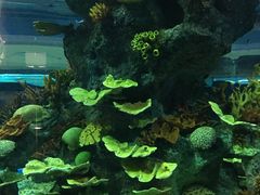 -福州罗源湾海洋世界旅游区