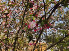 -大兴滨河森林公园