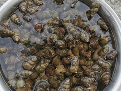 -乡乐园蟹庄·阳澄湖农家乐