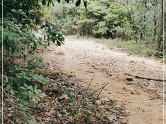 -梧桐山风景名胜区